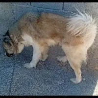 سرابی ذات قدیم