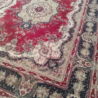 دو عدد قالی در حدنو|فرش|ایلام, |دیوار
