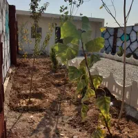 باغ.چهار دیوار.زمین.سند دار