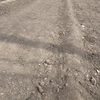 زمین-خیابان-شاکر