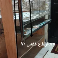 قفس پرنده بزرگ