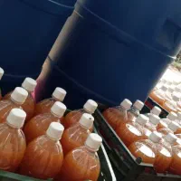 سرکه سیب 2ساله کاملا اورگانیک و طبیعی|خوردنی و آشامیدنی|تهران, جوادیه|دیوار