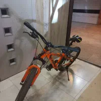 دوچرخه|دوچرخه، اسکیت، اسکوتر|شیراز, شاه قلی بیگی|دیوار