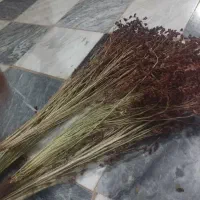 جارو سنتی درجه یک  ذرتی