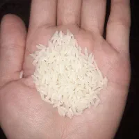 دم سیاه|خوردنی و آشامیدنی|رشت, سلیمانداراب|دیوار