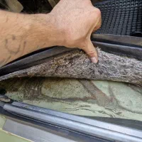 پیکان ۵۹ کاهویی|خودرو کلاسیک|تبریز, |دیوار