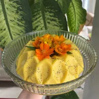 چیز کیک و دسر و حلوای خانگی|خدمات پذیرایی، مراسم|رودسر, |دیوار