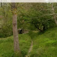 سهم-تعاونی-ثبت