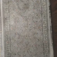 پادری