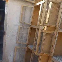 جفت کن کفتر