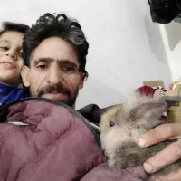 واگذاری خرگوش|موش و خرگوش|نجف‌آباد, صالح آباد|دیوار