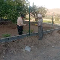 چال کود هرس فنس کشی سم پاشی|خدمات باغبانی و درختکاری|سنندج, |دیوار