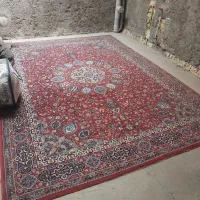 قالی|فرش|رفسنجان, |دیوار