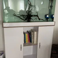 آکواریوم ماهی|ماهی|فردیس, داوری|دیوار