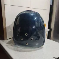 کیف حمل پرنده ، گربه