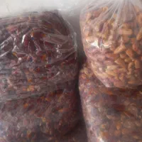 خرما|خوردنی و آشامیدنی|داراب, |دیوار