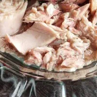 کنسور ماهی|ماهی|خرمشهر, |دیوار