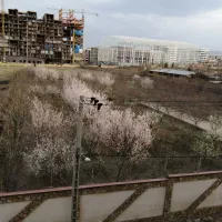 صدف  ۲۲۰ متر جنوبی با پروانه