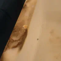 سینک تک لگن ۸۰|لوازم سرویس بهداشتی|تهران, پونک|دیوار