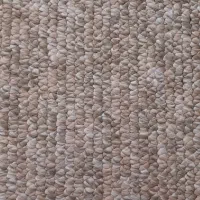 ۲عدد پالاز موکت دوازده متری|موکت|بروجرد, |دیوار