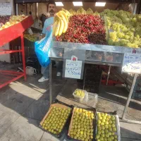 استخدامی میوه فروشی