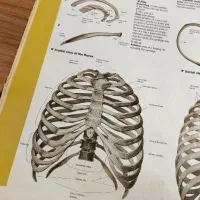 دعوت به همکاری از دانشجویان پزشکی