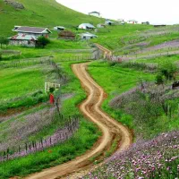 نیازمند پرستار و نگهبان