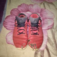 کفش سالنی|کیف، کفش، کمربند|گرگان, |دیوار