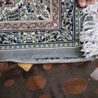 فرش|فرش|مشهد, نکاح|دیوار