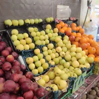 به یک نفر جهت کار در مغازه میوه فروشی نیازمندیم|استخدام خدمات فروشگاه و رستوران|تبریز, |دیوار