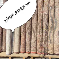 همه نوع فرش 6.9.12 ماشینی فردیس اندیشه ملارد