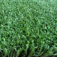 انبار پخش چمن مصنوعی (دست اول)|خدمات باغبانی و درختکاری|تهران, سعادت‌آباد|دیوار