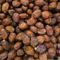 خرما خاصویی، خنیزی، حلاب|خوردنی و آشامیدنی|تهران, نصرت|دیوار
