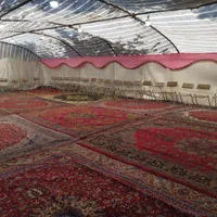 کرایه چادر عروسی