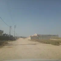 زمین-سندتک-برگ-دهقاید
