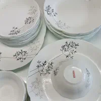 بشقاب و کاسه ۱۲ پارچه، کمکارکرد و سالم