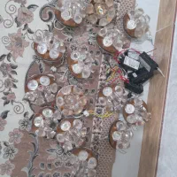 هالوژن کلستالی و ترانس سالم در کمال شهر