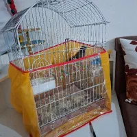 قفس پرنده