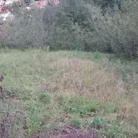 زمین به متراژ۱۷۰۰متربدون مدرک فقط نسق وفروشنامه|فروش زمین و ملک کلنگی|لوندویل, |دیوار