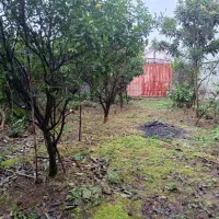 واجارگاه ۱۱۸ متر زمین بلوار دانشگاه|فروش زمین و ملک کلنگی|واجارگاه, |دیوار