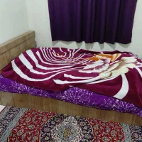 تخت عرض ۱۴۰