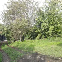 اجاره ویلا جنگلی تک خواب گیسوم|اجارهٔ خانه و ویلا|اسالم, |دیوار