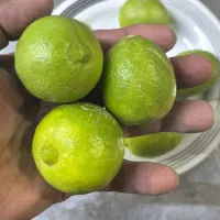 فروش لیمو ترش، آبلیمو طبیعی و گرد لیمو