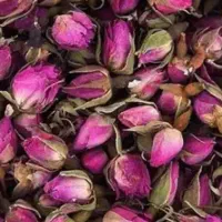 گل محمدی تازه