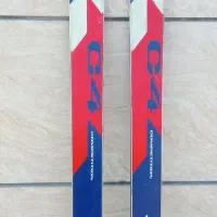 چوب اسکی حرفه ای