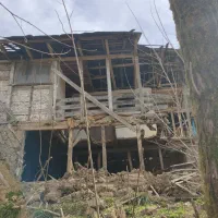 فروش-فوری-زیر-قیمت-300متر-مسکونی-پلاک-صفر-جنگل