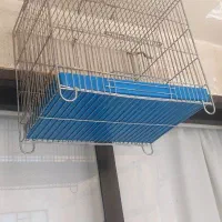 سهره قفس