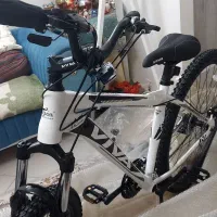 دوچرخه ویوا