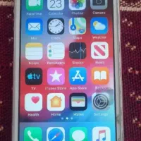 کوشیم گم شده