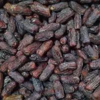 فروش عمده خرما پیارم حاجی آباد